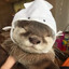 폭발's avatar