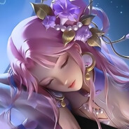 提米的喂鸽故事