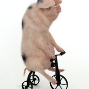 Твердые сосочки - steam id 76561199104619534