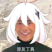 理塘电烟神丁真