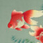 Steelgoldfish