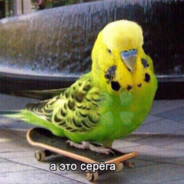 АНАЛЬНЫЙ ДЕБОШИР