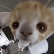 财神爷的心尖LLL