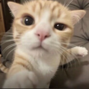 A你以为我是厦大哒