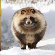 RottenKiwi