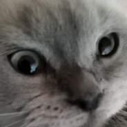 Zeze