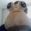 EDİZ VE POU