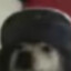 Wolfored
