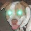 Evil_Pitbull