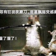 黄衣使徒白衫儿