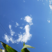 不会扔道具的选手