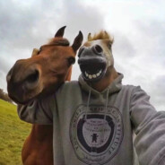 马枪也要热烈地马