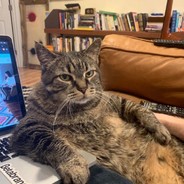 东汉末年闹鸡瘟刘备怒斩蔡徐坤