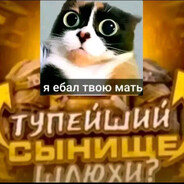 я eбал твою мать