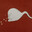Sperm Beavis avatar