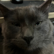 Mulli