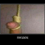 zxchen 1000-krip 228