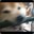 SHIBE