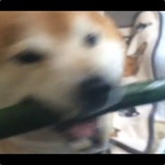 SHIBE
