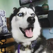 楚楚北鼻在线求淦KDoyles