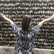 想当机长，因为飞机机长机机长