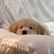 >.<