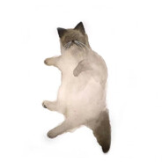 理塘最強伝說と暢銷の悦刻!仿生電子煙です