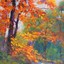 Violent Grove