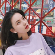 丁真・高考第一