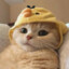 Lisu