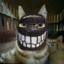 SabY