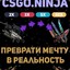 ✖ CSGO.NINJA ✖