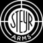 Steyr Augger