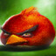 angry bird
