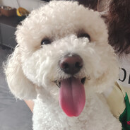 尼古丁真与芙蓉王源