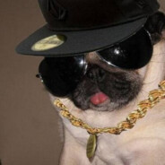 SWAG DAWG