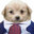 brilliantly smart dog