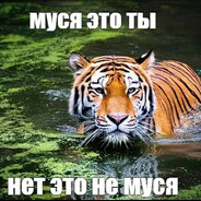 МУСЯ ЭТО ТЫ