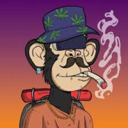 Rusty Bong Rodent