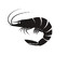 Shrimpy.