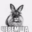 ЧЕРЕМША