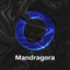 Mandragora