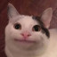 Nydeari V2