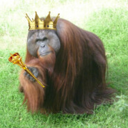 ОрангутангМудрый