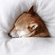 ₮ØⱠł₭ Ɇ฿ØⱠł₭