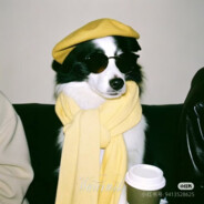 干拉挂机刷抖音