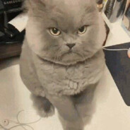 孕妇羊水破了，我非要说喝羊汤