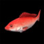 Red_Snapper