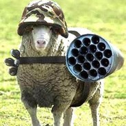 花花幼儿园最强秃破手