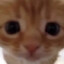 尧